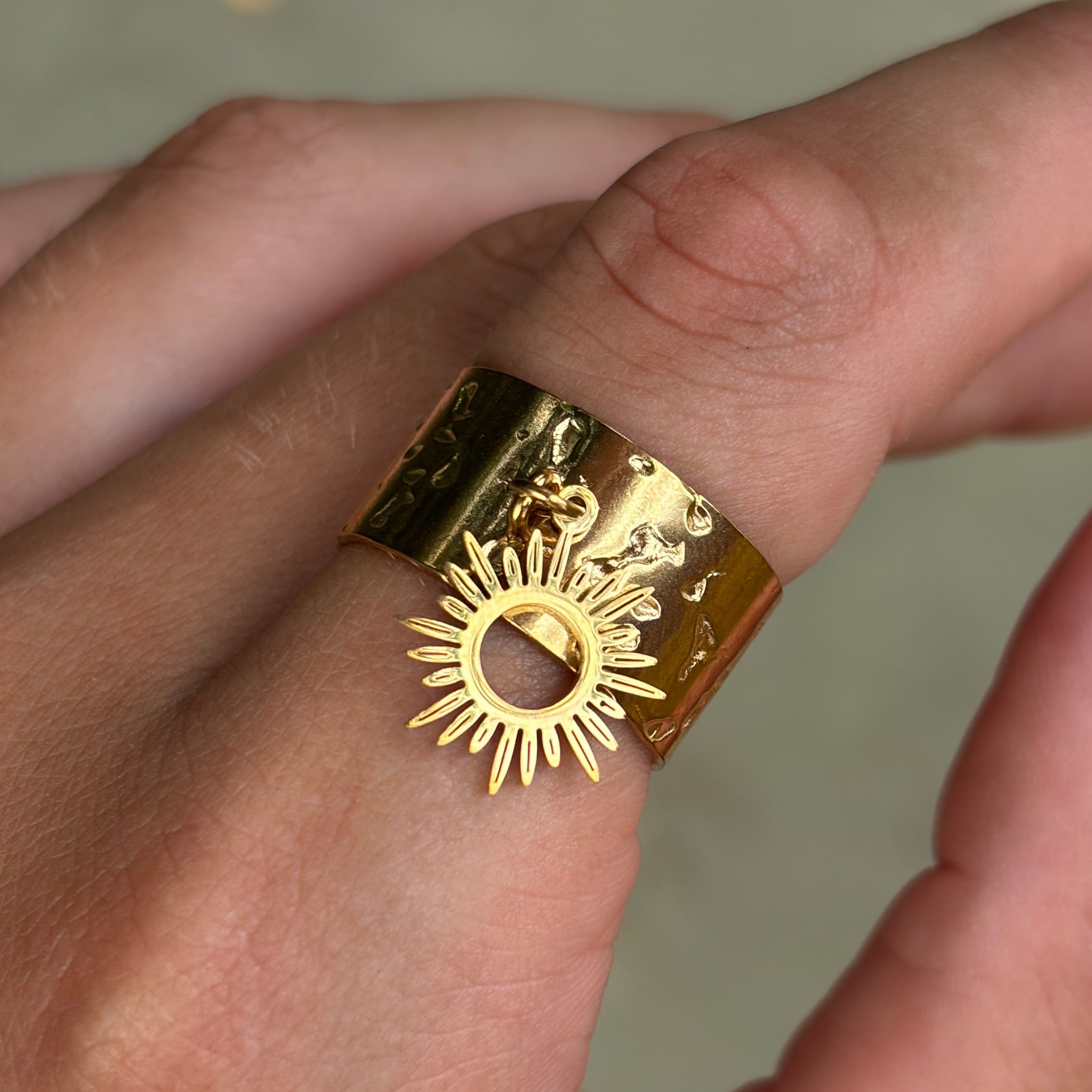 Anillos