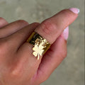 Anillo