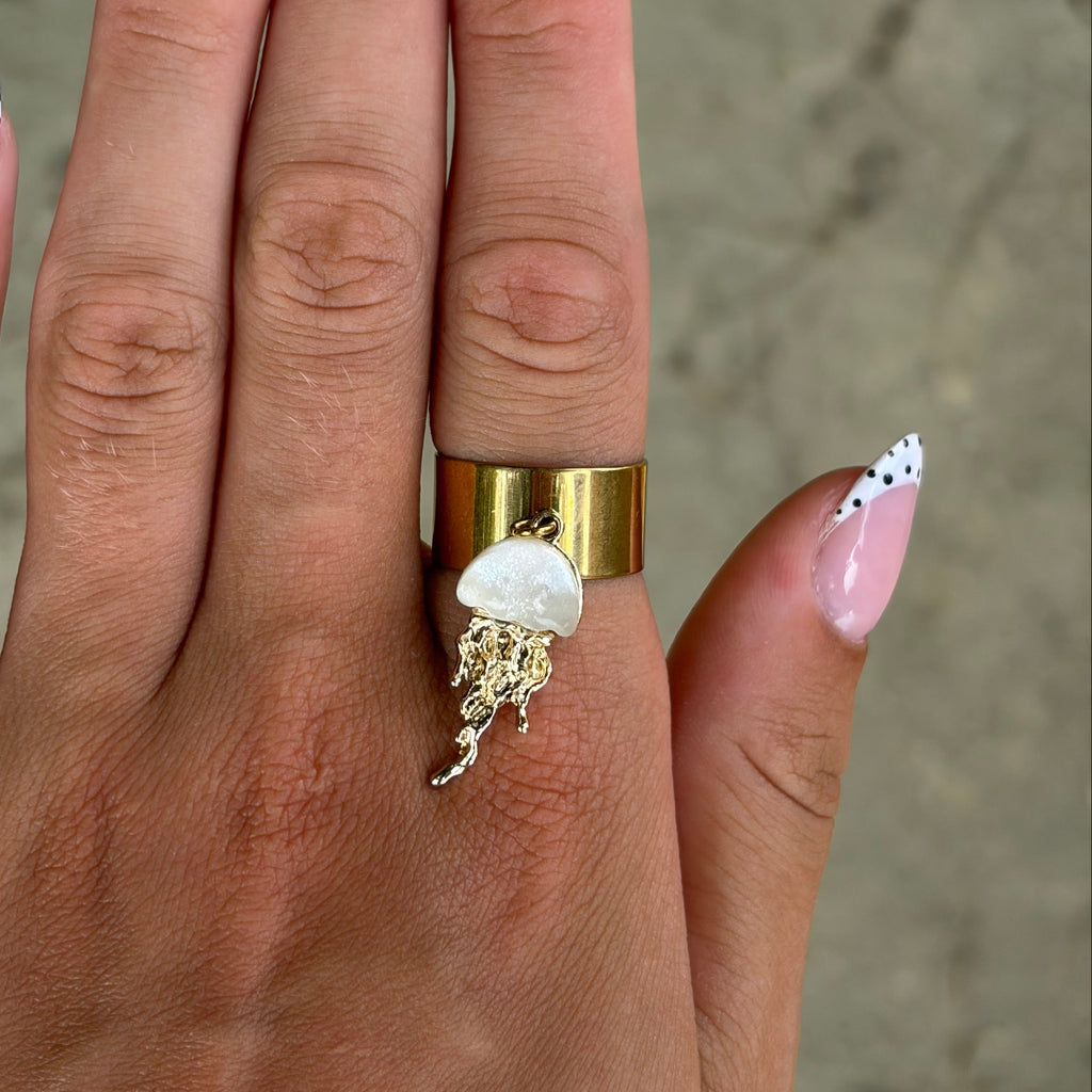 Anillo