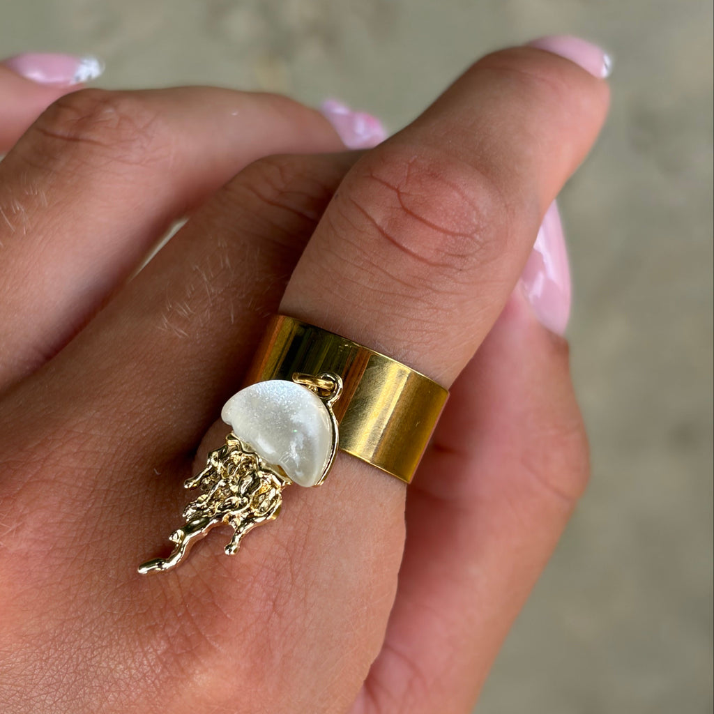 Anillo