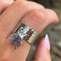 Anillo
